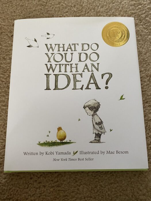 what do you do with an idea book