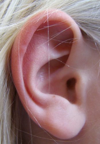 Image of a woman's ear with an unattached, free ear lobe